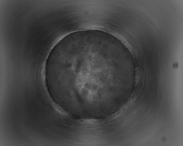 X0000102831031200809081150