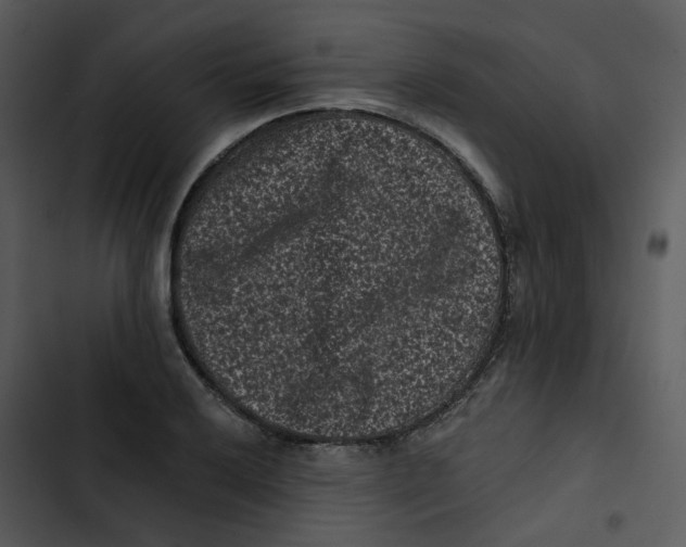 X0000102831032200809081150