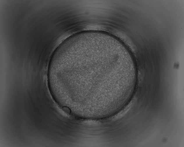 X0000102831033200809081150