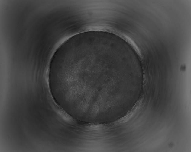 X0000102831035200809081150