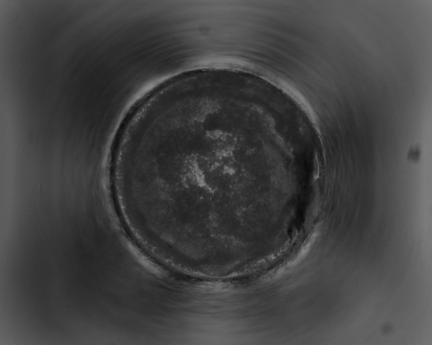 X0000102831037200809081150