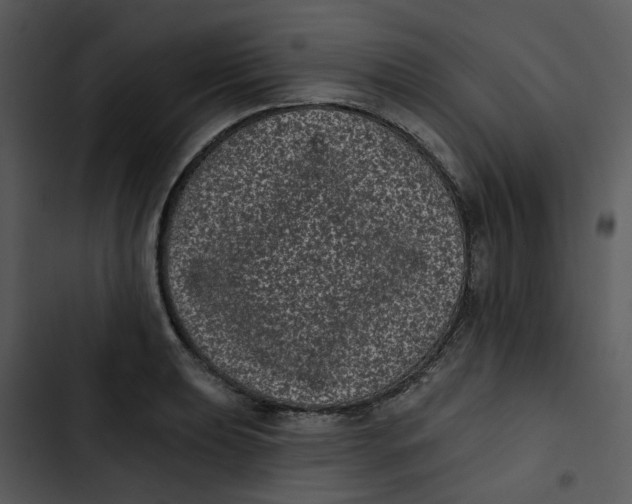 X0000102831039200809081150