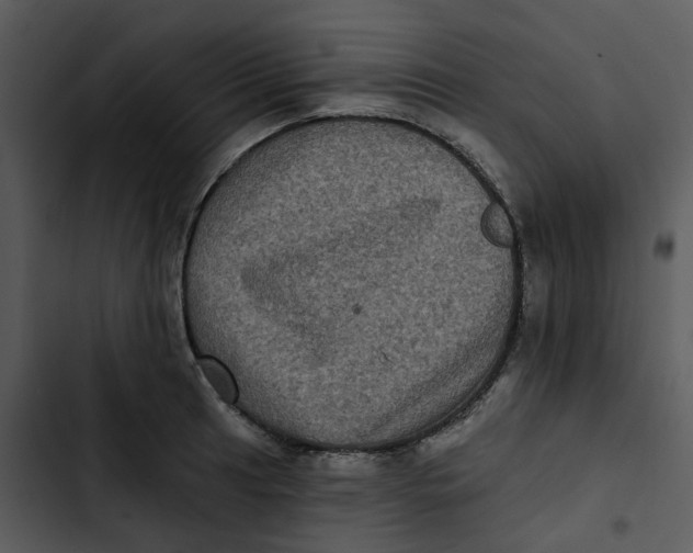 X0000102831041200809081150