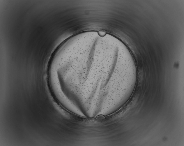 X0000102831042200809081150