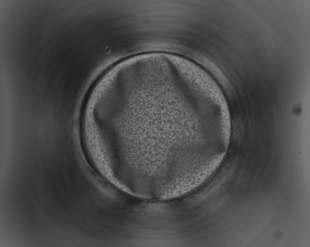 X0000102831043200809081150