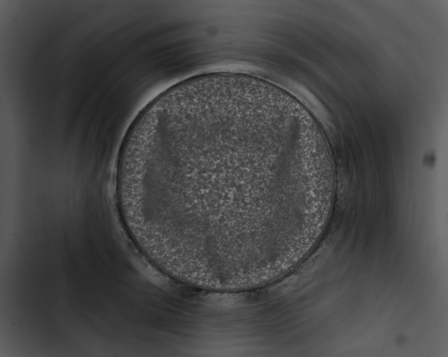 X0000102831044200809081150