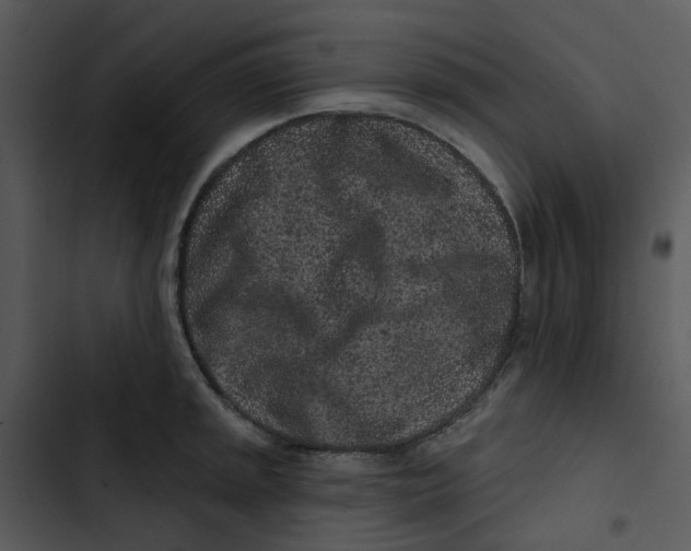 X0000102831045200809081150