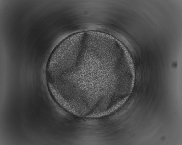 X0000102831047200809081150