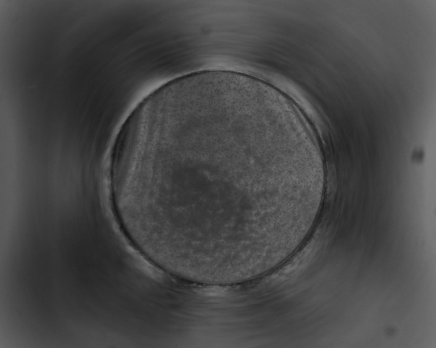 X0000102831048200809081150