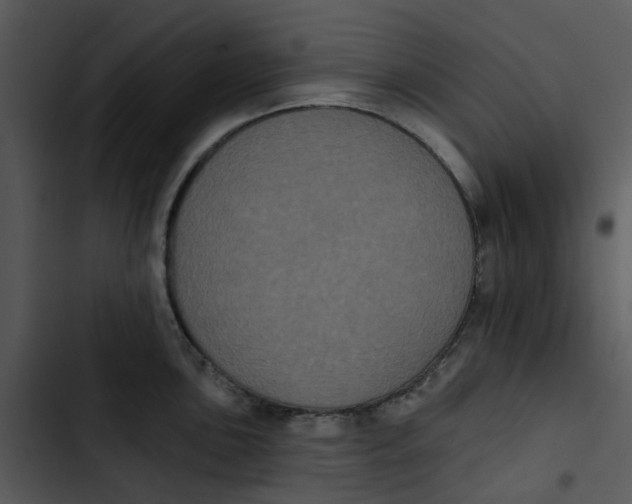 X0000102831051200809081150