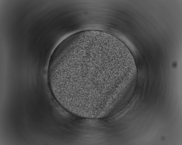 X0000102831052200809081150