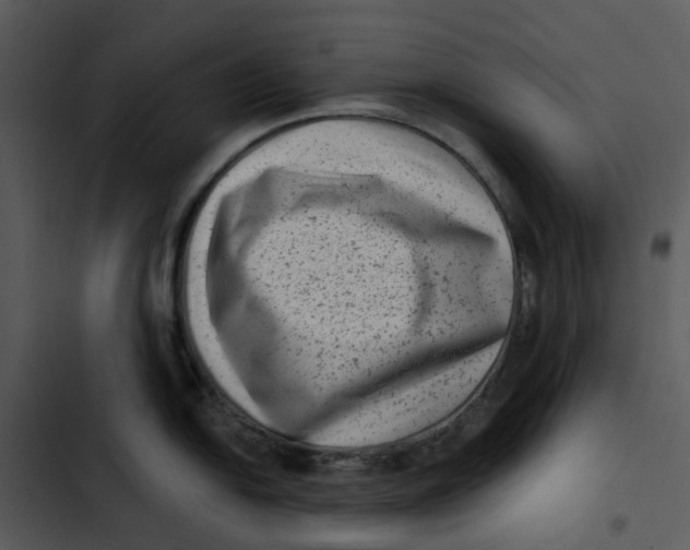 X0000102831054200809081150