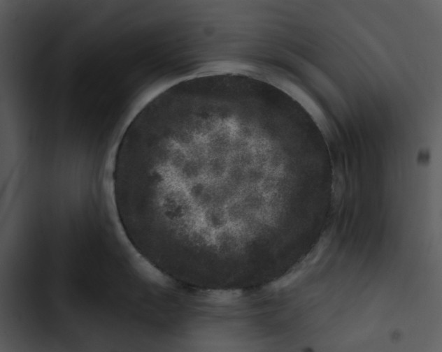 X0000102831055200809081150