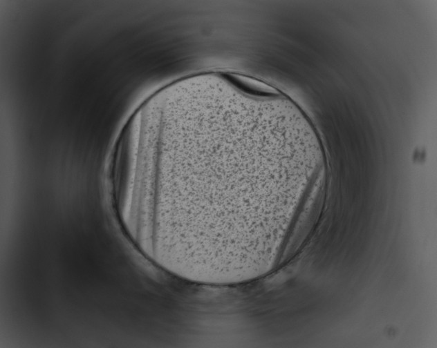 X0000102831056200809081150