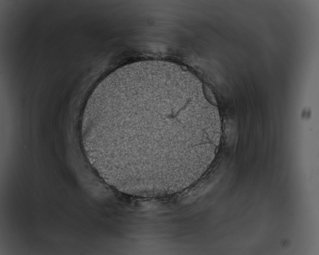 X0000102831057200809081150