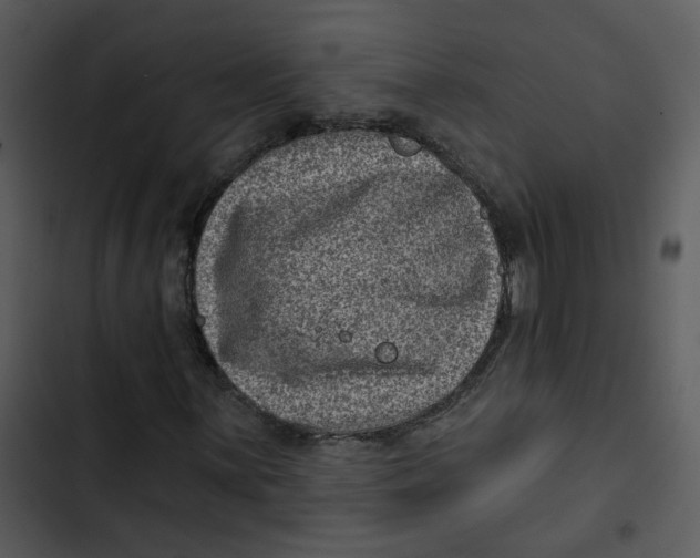 X0000102831059200809081150