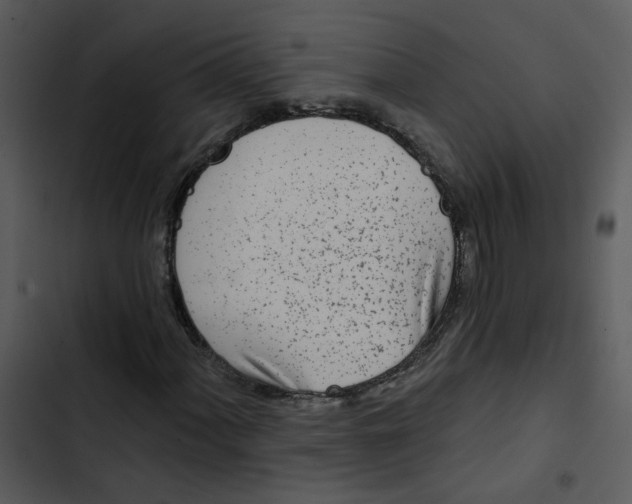 X0000102831060200809081150