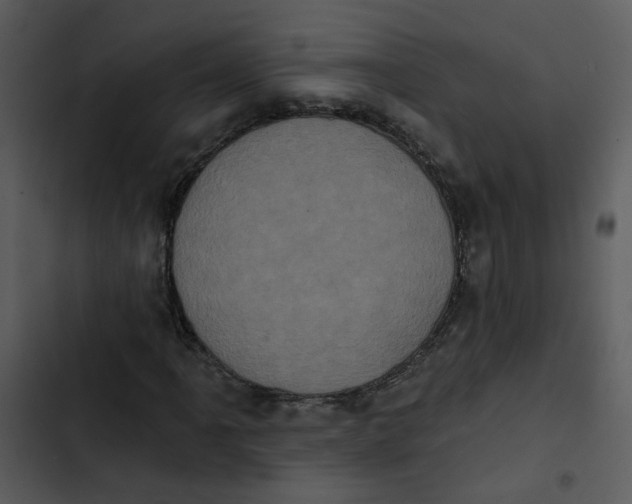 X0000102831061200809081150