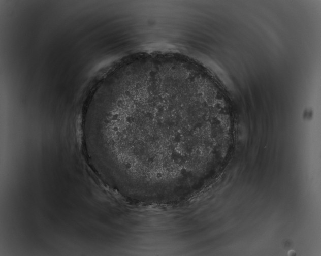 X0000102831063200809081150