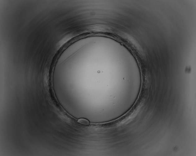 X0000102831065200809081150