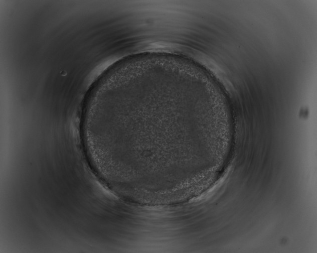 X0000102831066200809081150