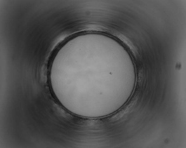 X0000102831067200809081150