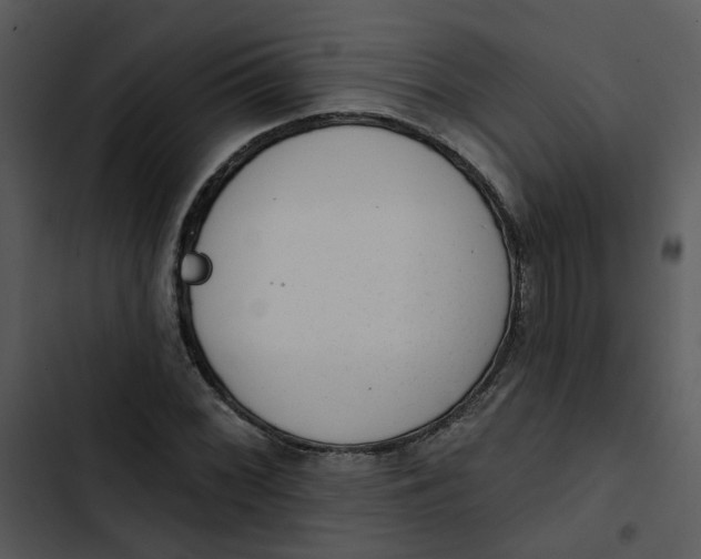 X0000102831068200809081150