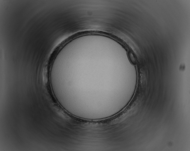 X0000102831069200809081150