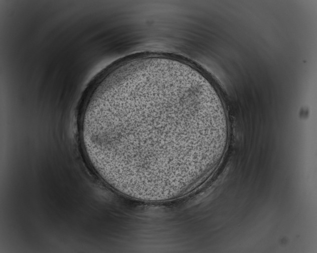 X0000102831070200809081150