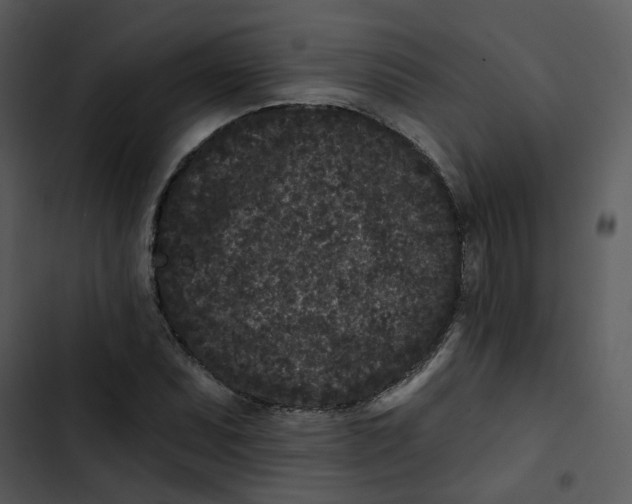 X0000102831071200809081150