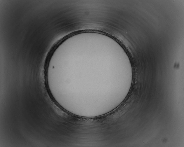 X0000102831072200809081149