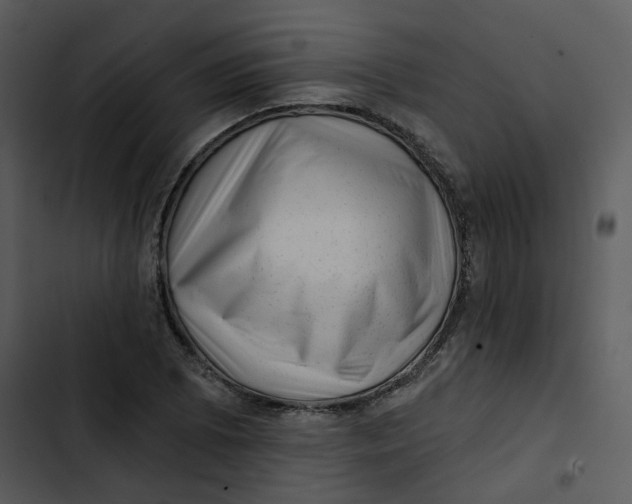 X0000102831073200809081149