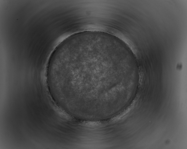 X0000102831074200809081149