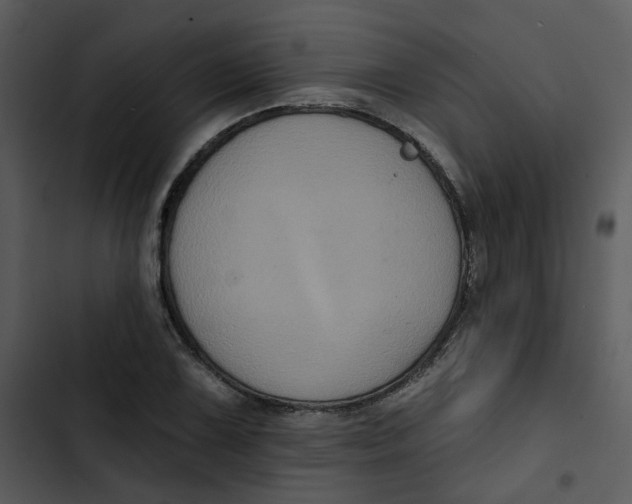 X0000102831075200809081149