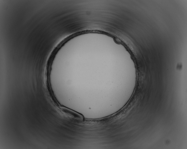 X0000102831076200809081149