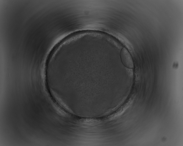 X0000102831077200809081149