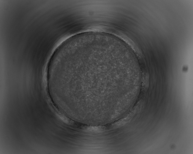 X0000102831078200809081149