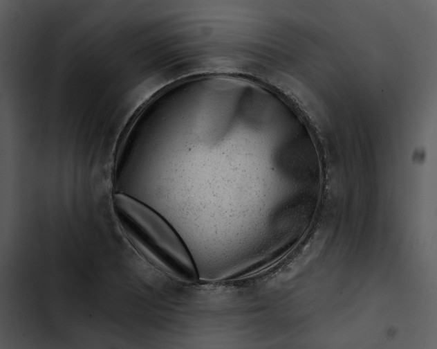 X0000102831081200809081149