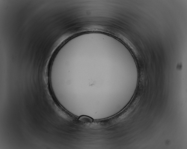 X0000102831082200809081149