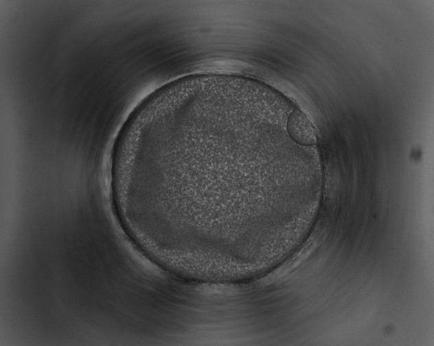 X0000102831083200809081149