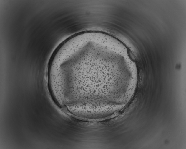 X0000102831084200809081149