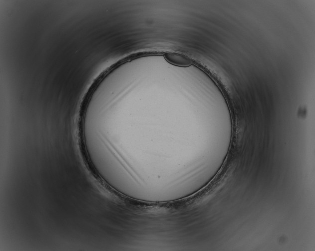 X0000102831085200809081149