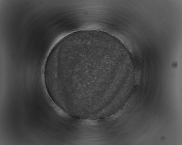 X0000102831086200809081149