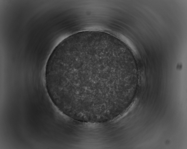 X0000102831087200809081149