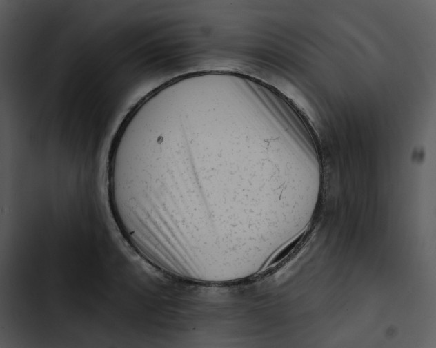 X0000102831088200809081149