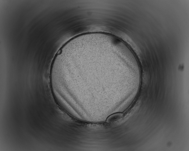 X0000102831089200809081149