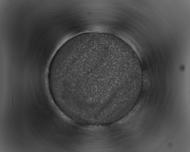 X0000102831091200809081149