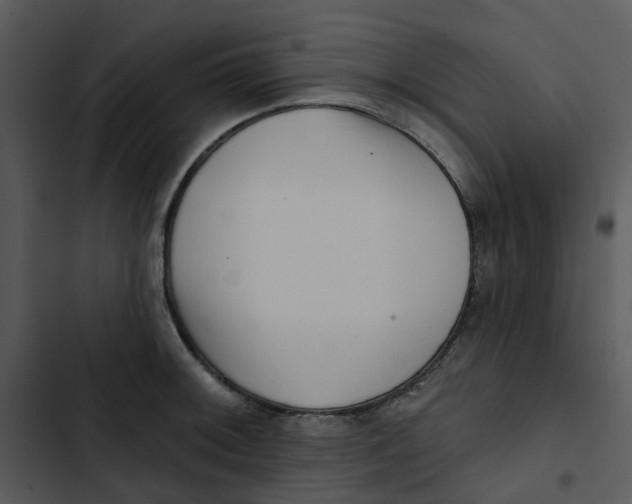 X0000102831092200809081149