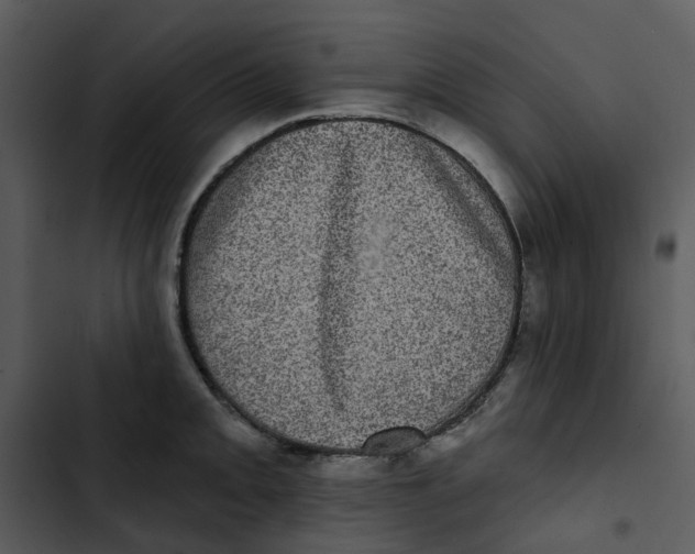 X0000102831093200809081149