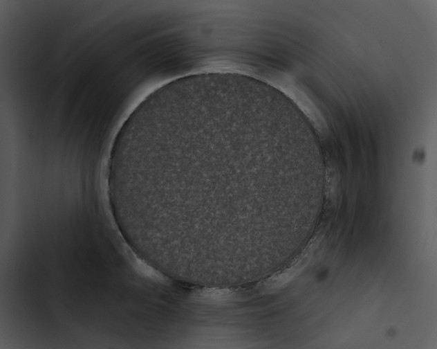 X0000102831094200809081149